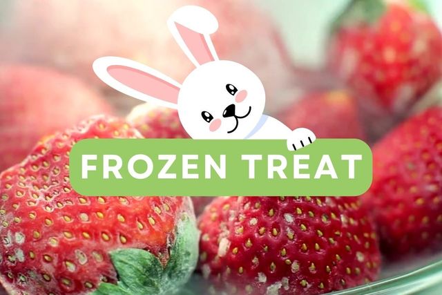 Frozen treats for rabbits best sale